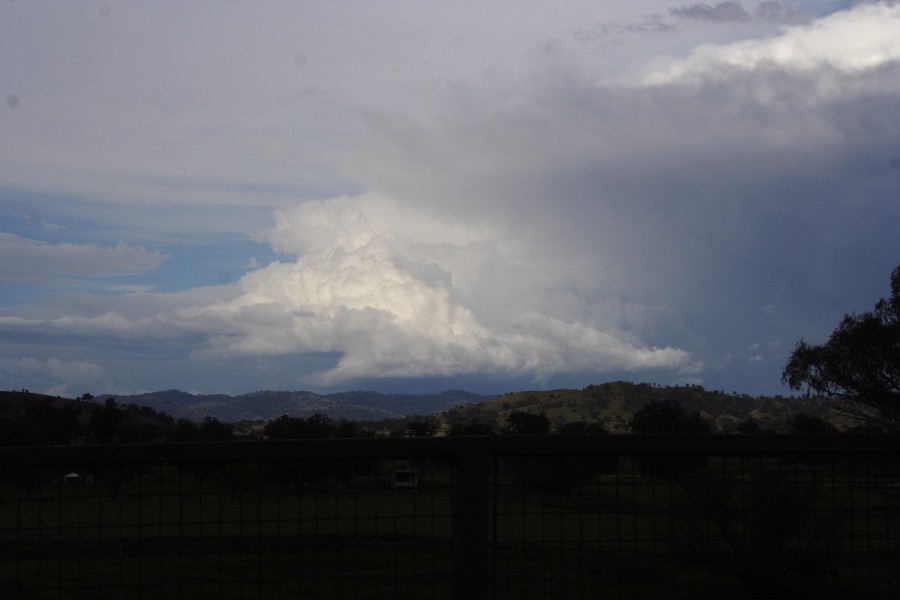 thunderstorm cumulonimbus_incus : W of Manilla, NSW   14 October 2008