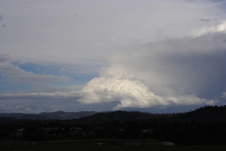 thunderstorm cumulonimbus_incus : W of Manilla, NSW   14 October 2008