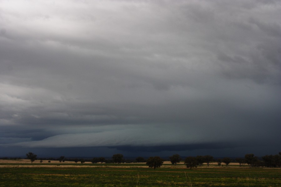 cumulonimbus thunderstorm_base : W of Manilla, NSW   14 October 2008