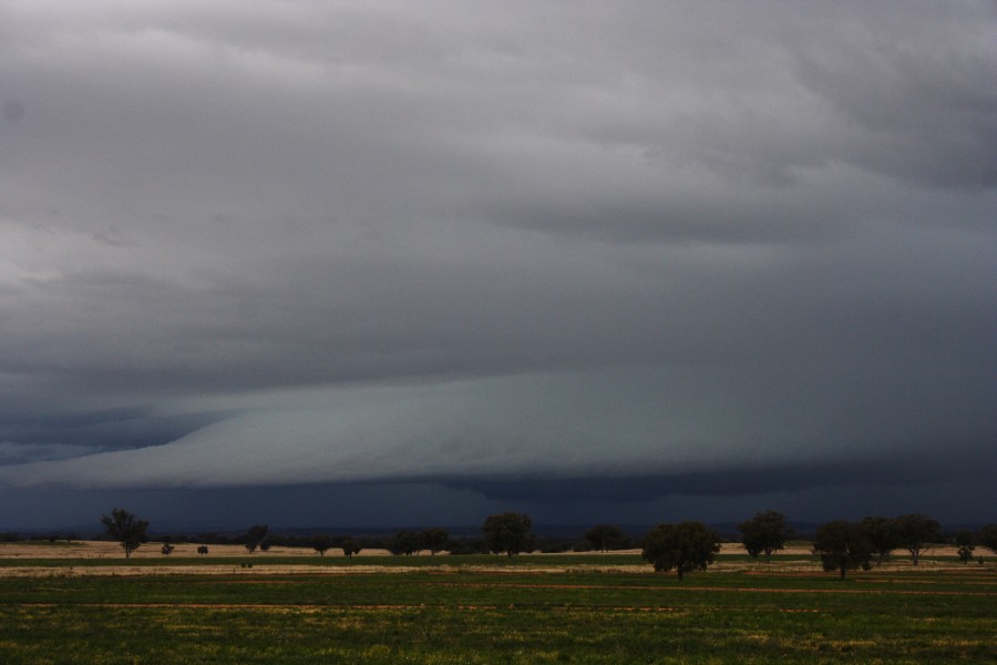 shelfcloud shelf_cloud : W of Manilla, NSW   14 October 2008