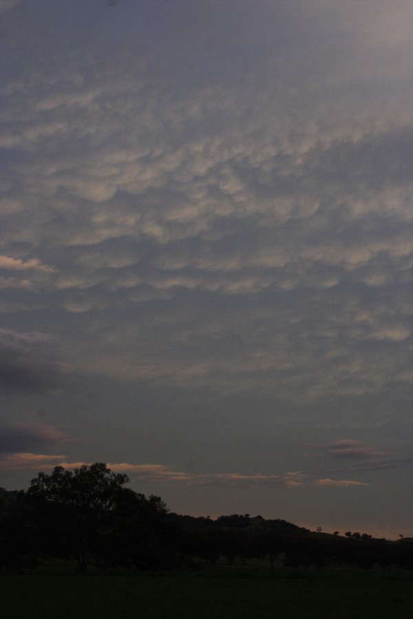 mammatus mammatus_cloud : near Willow Tree, NSW   14 October 2008