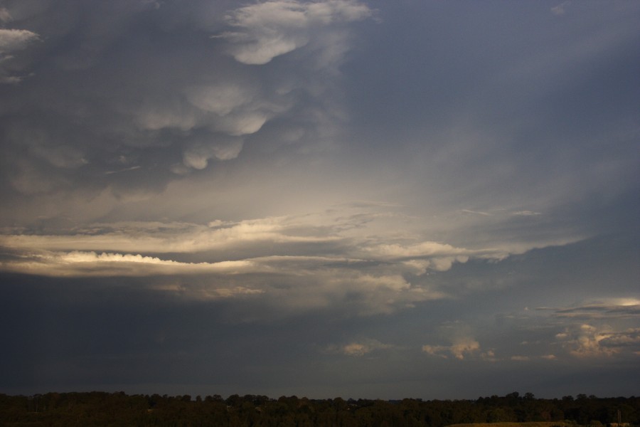 mammatus mammatus_cloud : Schofields, NSW   19 October 2008