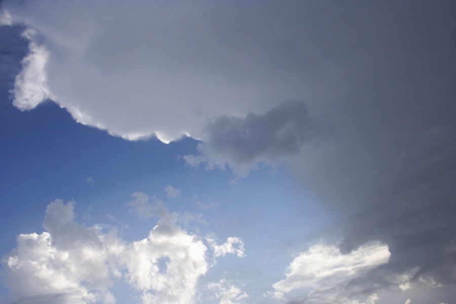 anvil thunderstorm_anvils : Kurrajong, NSW   20 October 2008