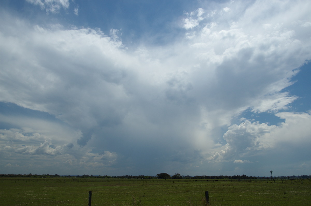 anvil thunderstorm_anvils : McKees Hill, NSW   21 October 2008