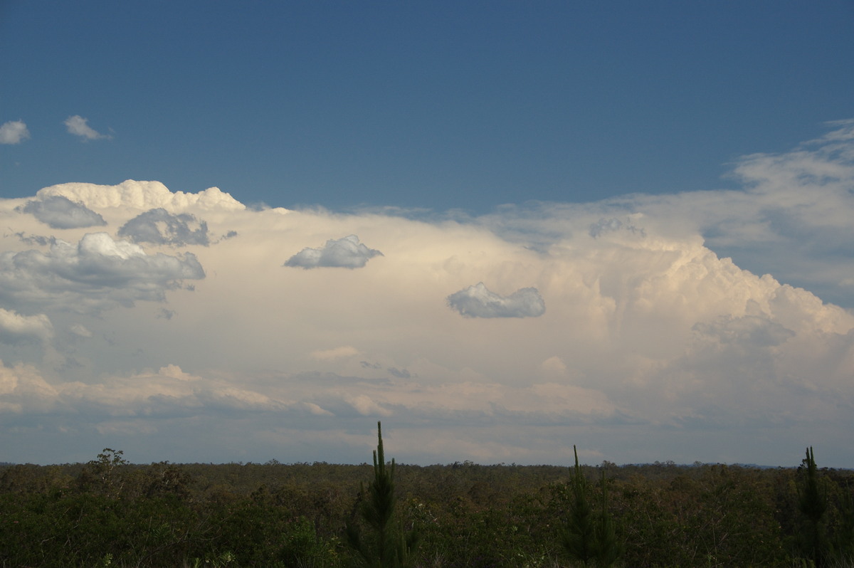 thunderstorm cumulonimbus_incus : Whiporie, NSW   21 October 2008