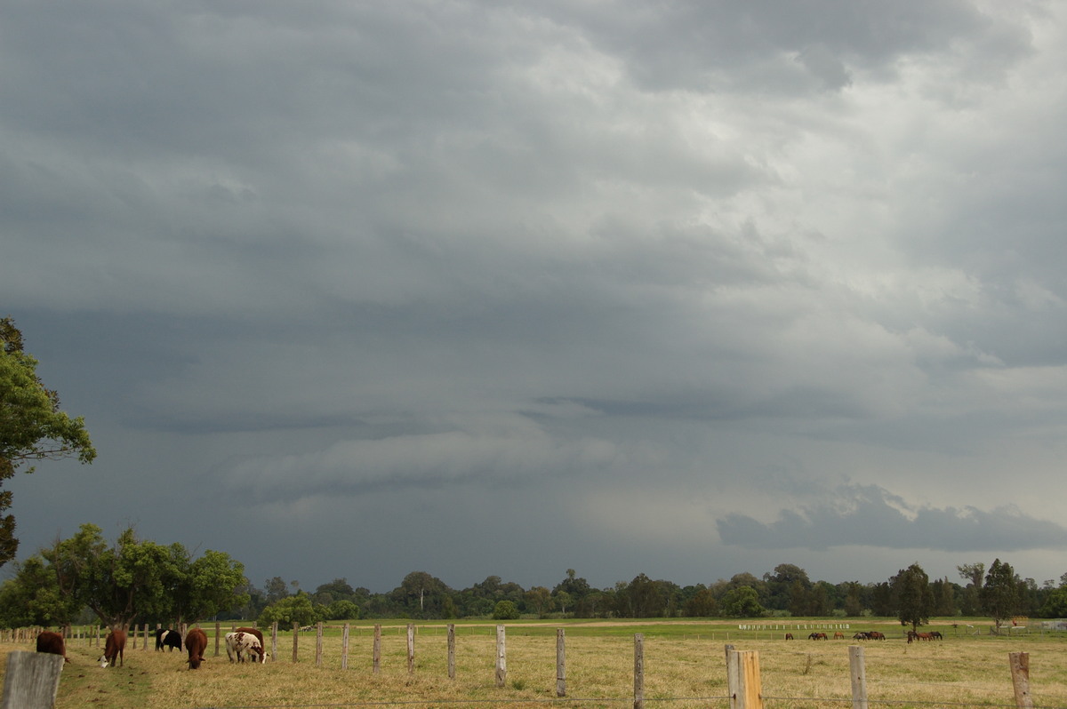 cumulonimbus thunderstorm_base : Grafton, NSW   21 October 2008