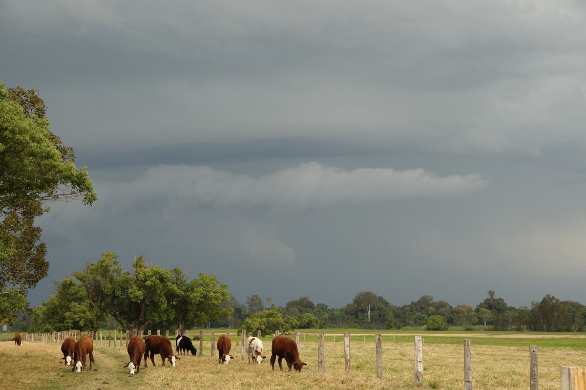 cumulonimbus thunderstorm_base : Grafton, NSW   21 October 2008