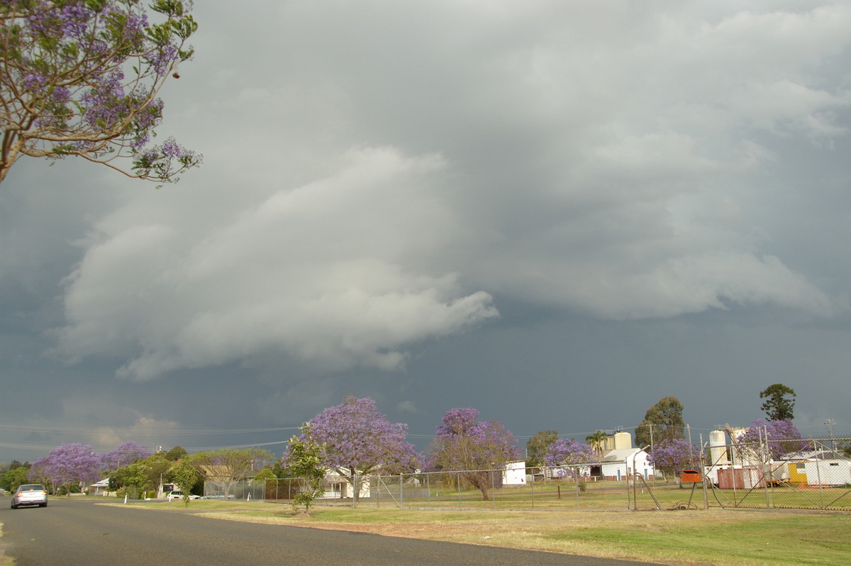 cumulonimbus thunderstorm_base : Grafton, NSW   21 October 2008