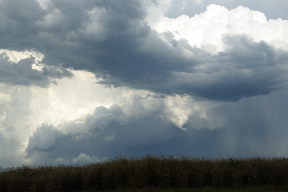 cumulonimbus thunderstorm_base : Cowper, NSW   21 October 2008