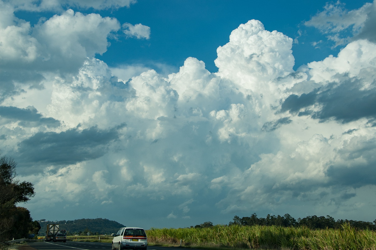 thunderstorm cumulonimbus_calvus : Maclean, NSW   21 October 2008