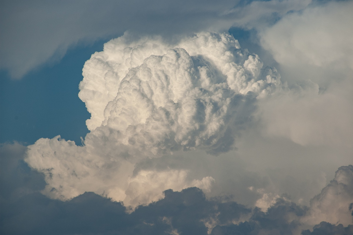 updraft thunderstorm_updrafts : Harwood, NSW   21 October 2008