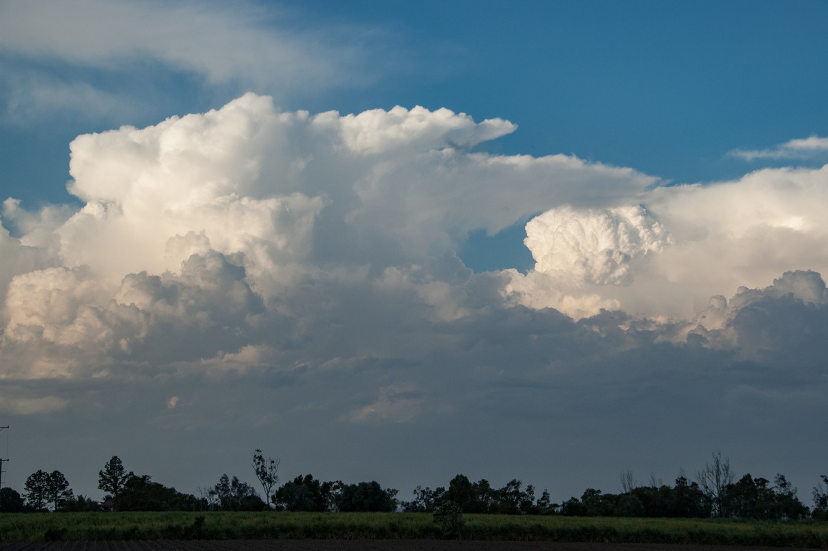 thunderstorm cumulonimbus_incus : Harwood, NSW   21 October 2008