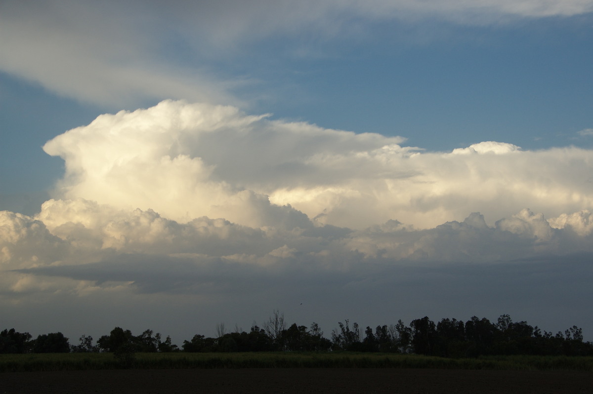 thunderstorm cumulonimbus_incus : Harwood, NSW   21 October 2008