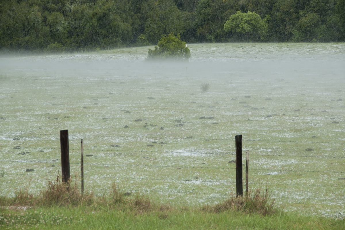 hailstones hail_stones : Clovass, NSW   22 October 2008