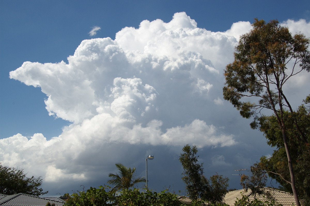 thunderstorm cumulonimbus_incus : Heritage Park, QLD   25 October 2008