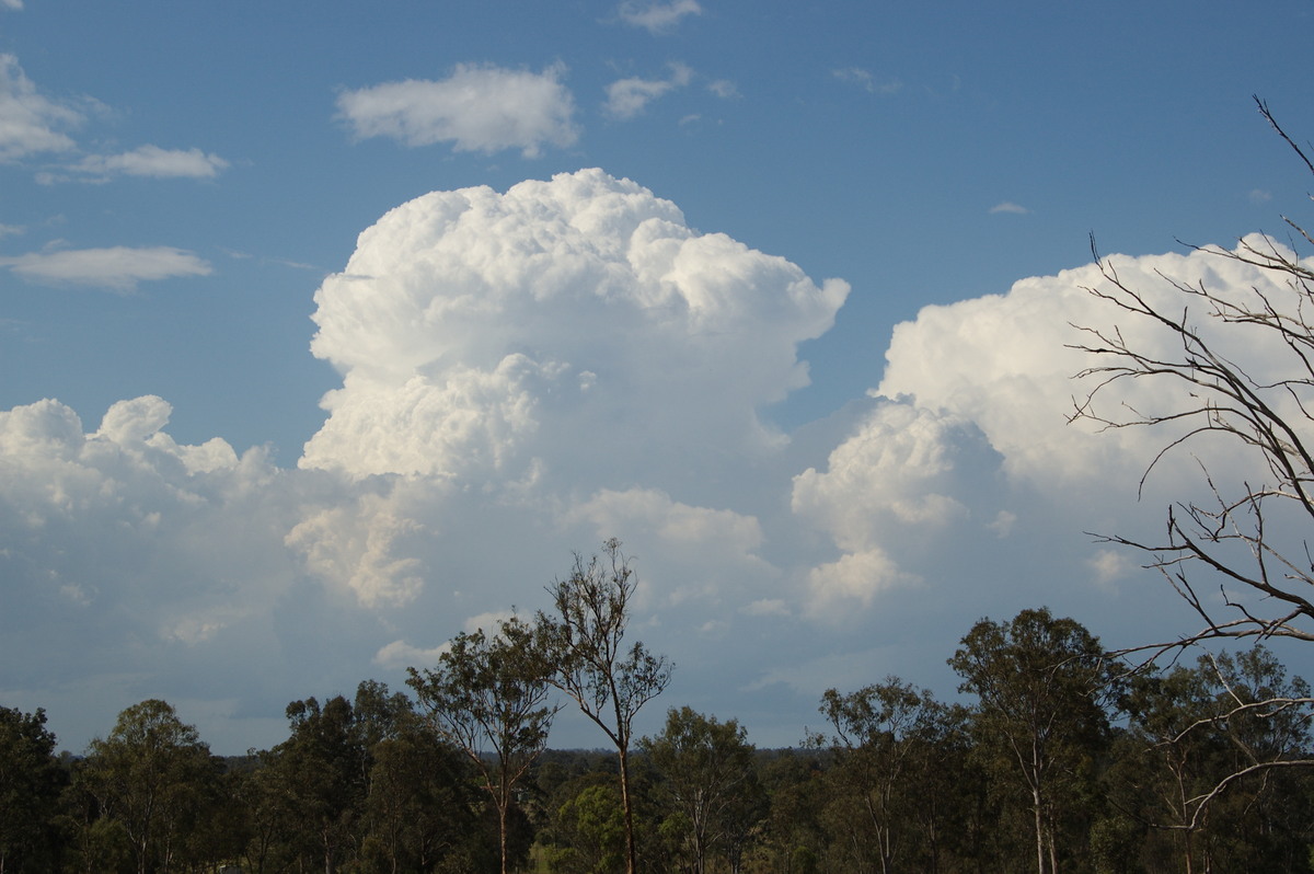 updraft thunderstorm_updrafts : Munruben, QLD   25 October 2008