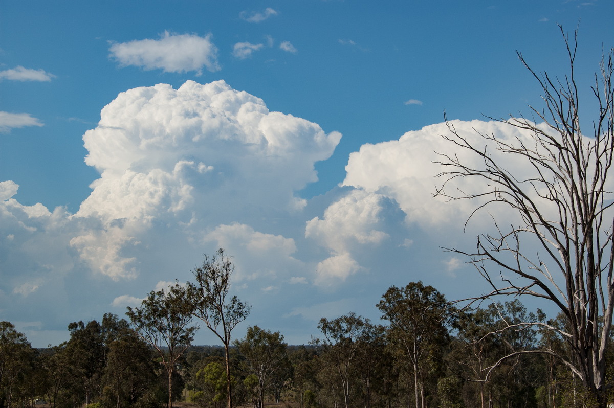 thunderstorm cumulonimbus_incus : Munruben, QLD   25 October 2008