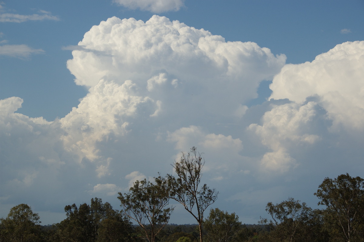 updraft thunderstorm_updrafts : Munruben, QLD   25 October 2008