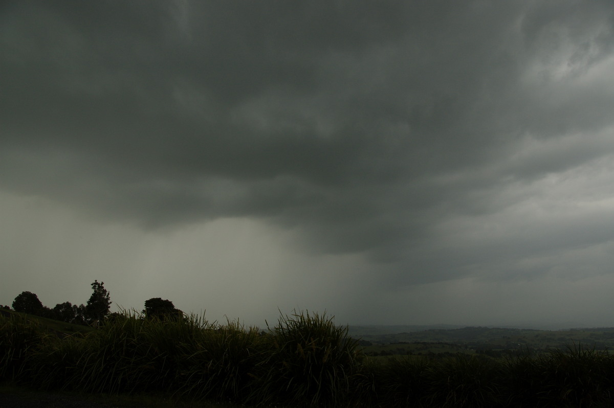 raincascade precipitation_cascade : McLeans Ridges, NSW   8 November 2008