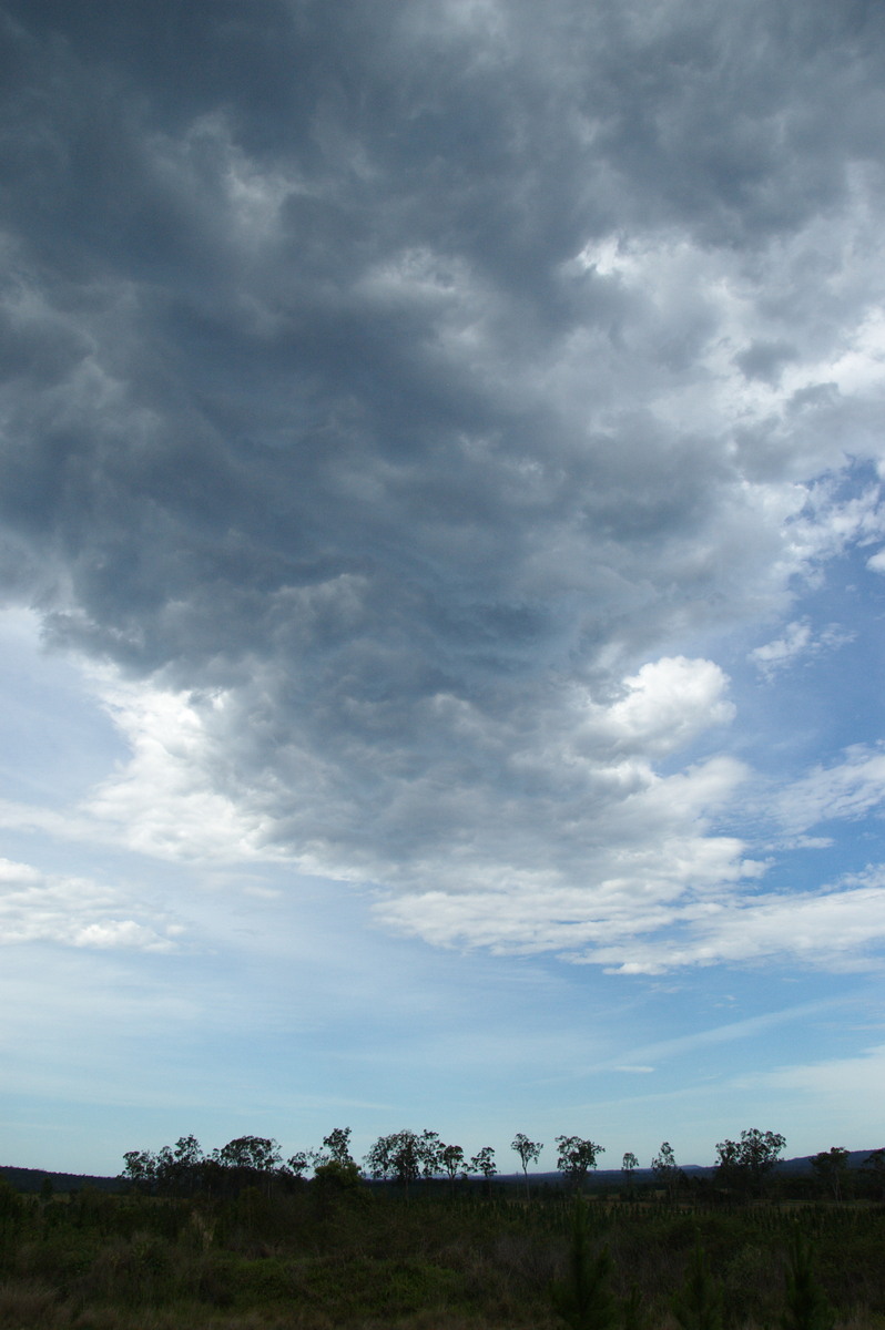 altocumulus altocumulus_cloud : Whiporie, NSW   15 November 2008