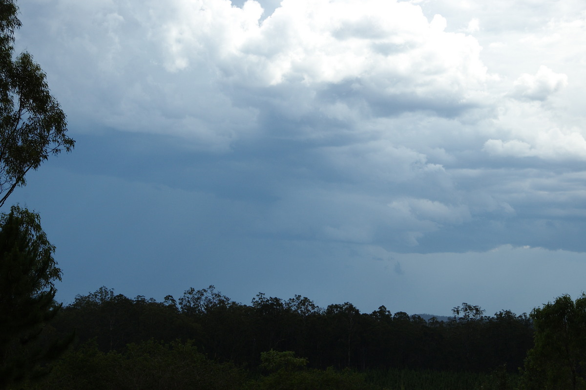 cumulonimbus thunderstorm_base : Whiporie, NSW   15 November 2008