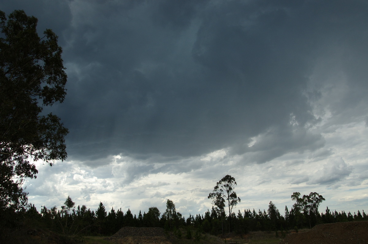 cumulonimbus thunderstorm_base : Whiporie, NSW   15 November 2008