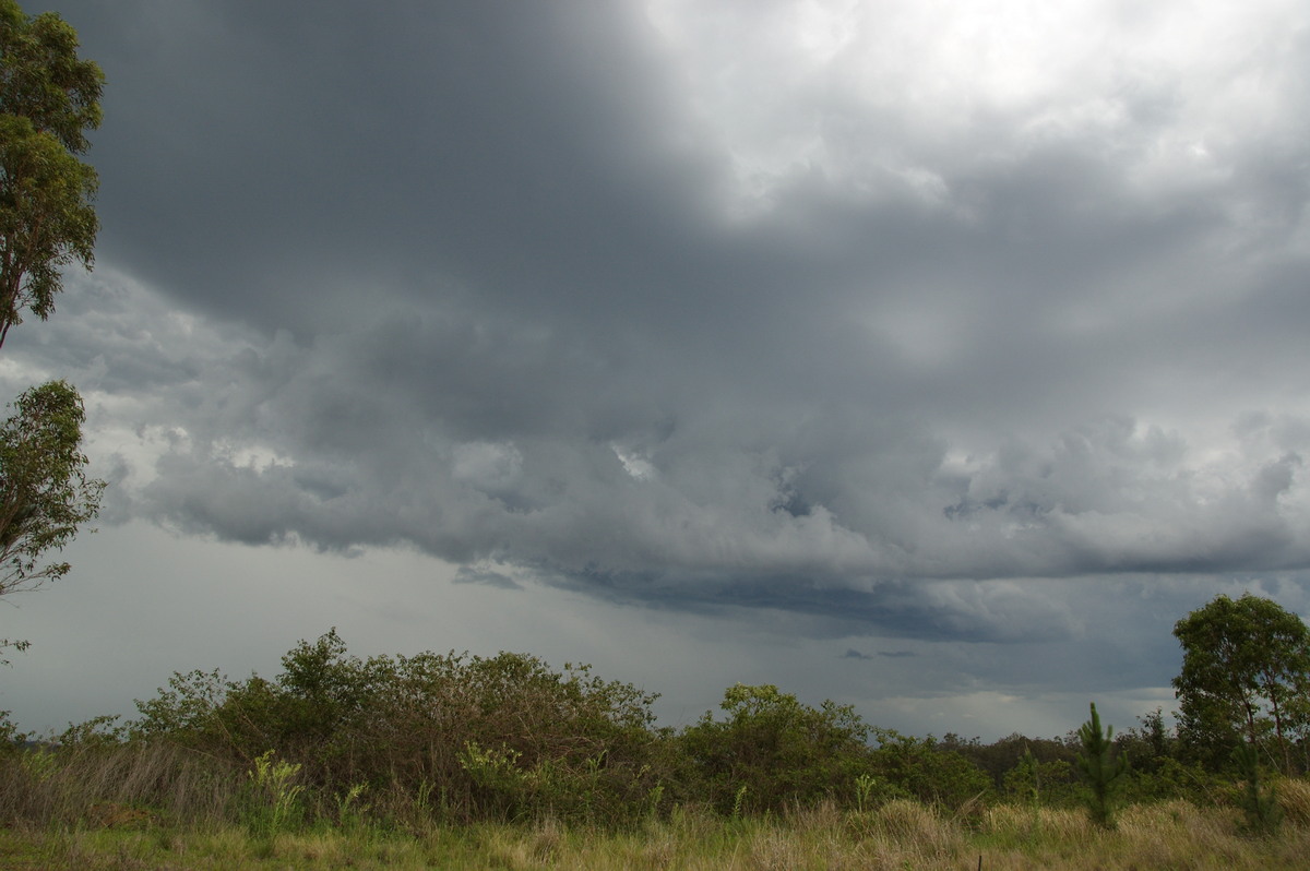 cumulonimbus thunderstorm_base : Whiporie, NSW   15 November 2008