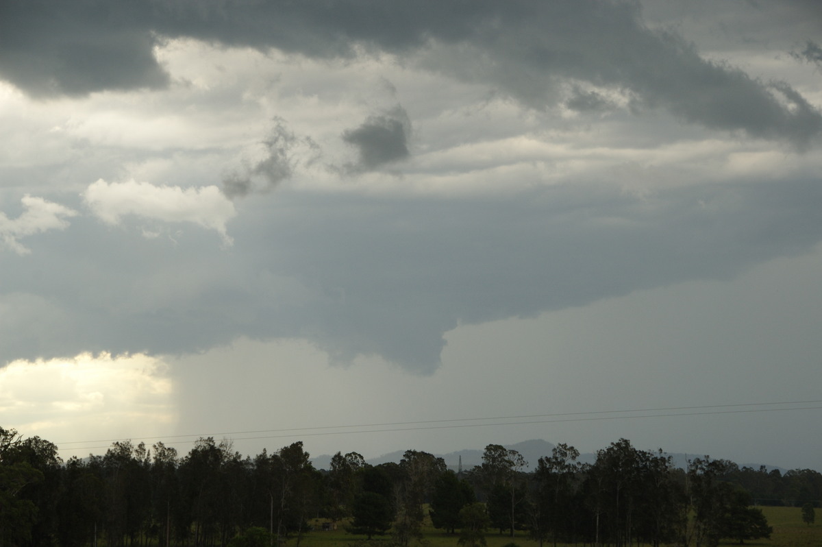 cumulonimbus thunderstorm_base : Whiporie, NSW   15 November 2008