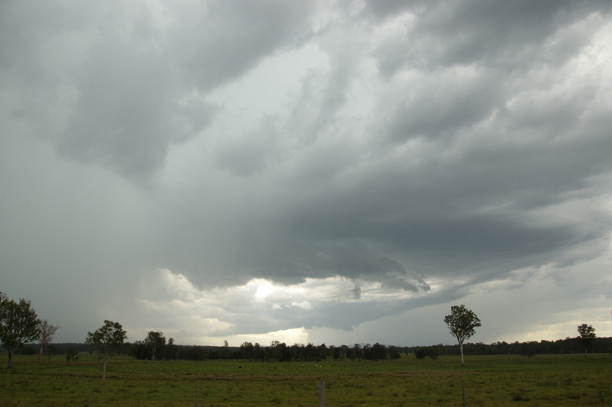 cumulonimbus thunderstorm_base : Whiporie, NSW   15 November 2008