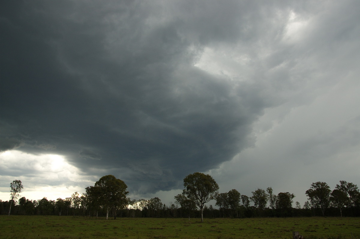 cumulonimbus thunderstorm_base : Myrtle Creek, NSW   15 November 2008