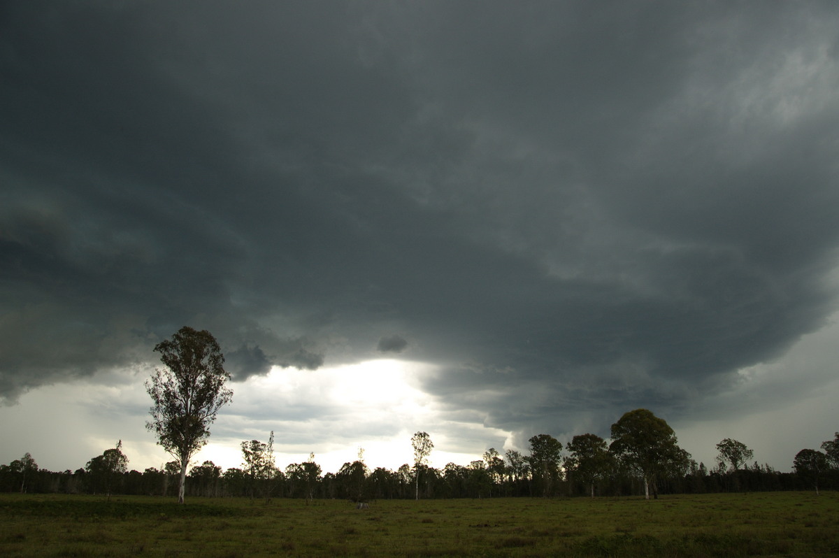 cumulonimbus thunderstorm_base : Myrtle Creek, NSW   15 November 2008