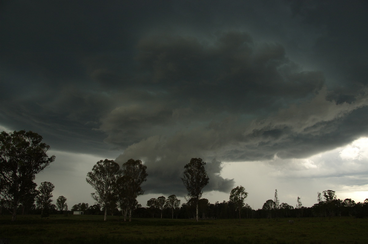 wallcloud thunderstorm_wall_cloud : Myrtle Creek, NSW   15 November 2008