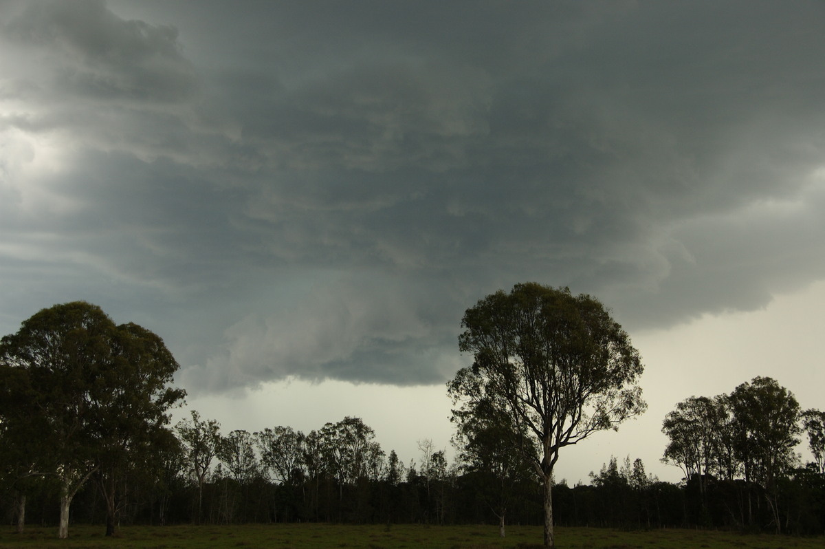 cumulonimbus thunderstorm_base : Myrtle Creek, NSW   15 November 2008