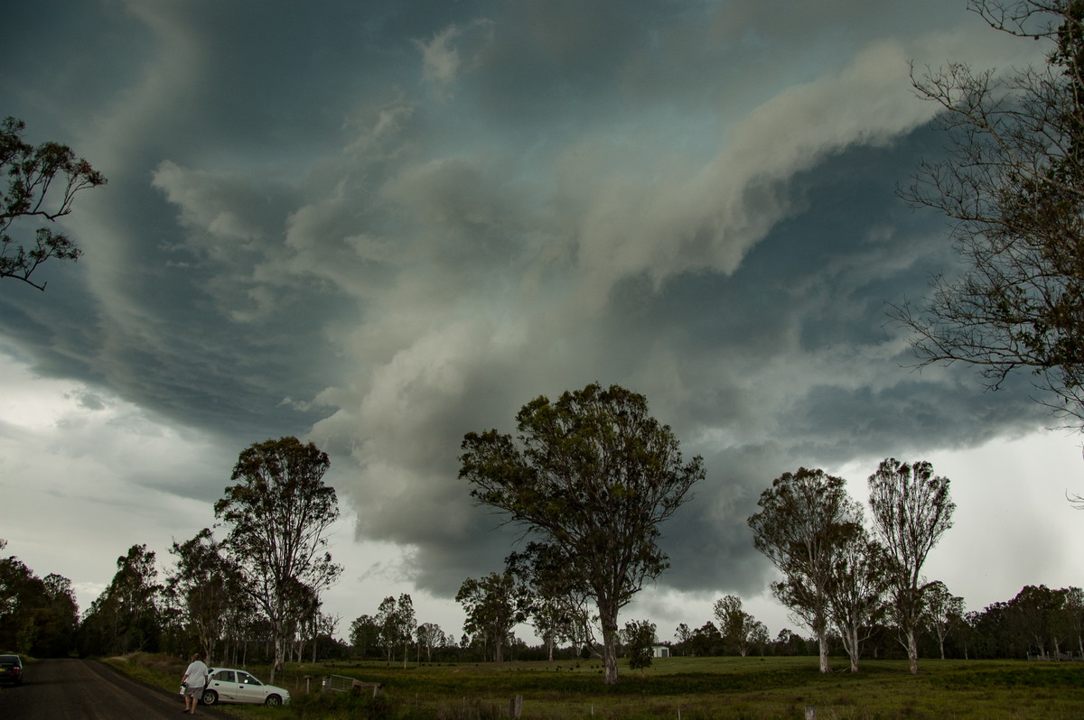 favourites michael_bath : Myrtle Creek, NSW   15 November 2008