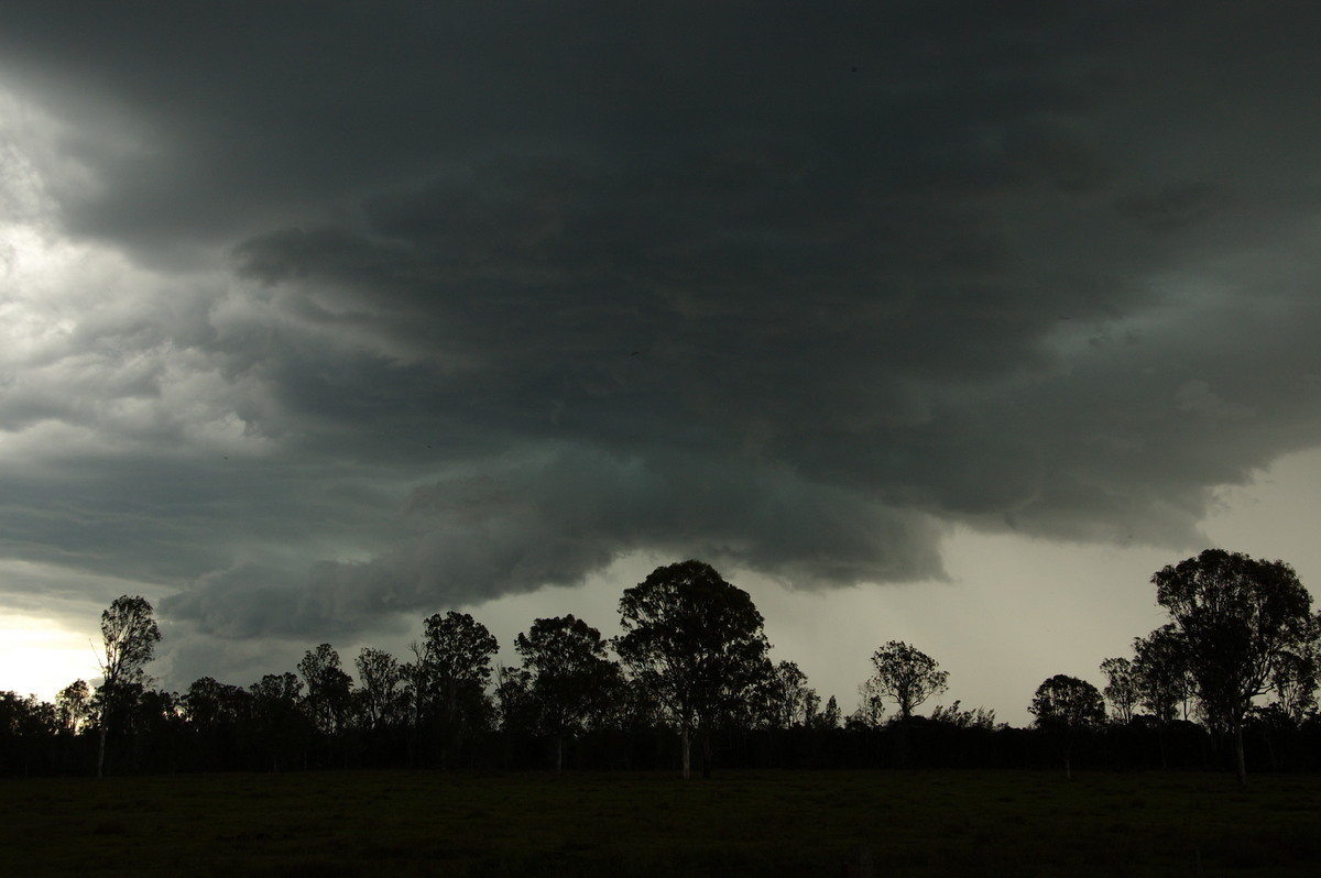 shelfcloud shelf_cloud : Myrtle Creek, NSW   15 November 2008