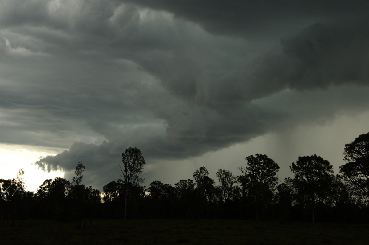 shelfcloud shelf_cloud : Myrtle Creek, NSW   15 November 2008