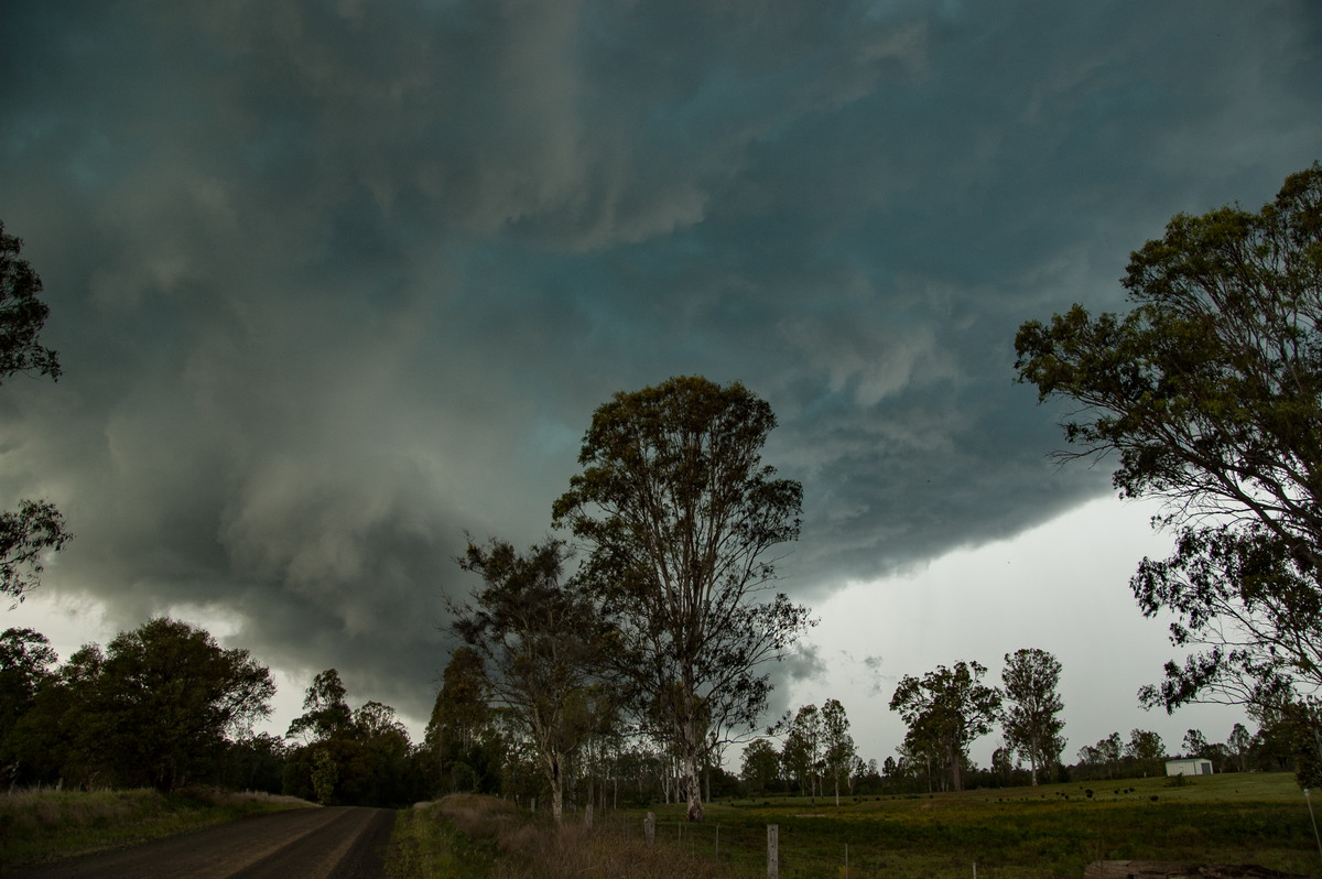 wallcloud thunderstorm_wall_cloud : Myrtle Creek, NSW   15 November 2008