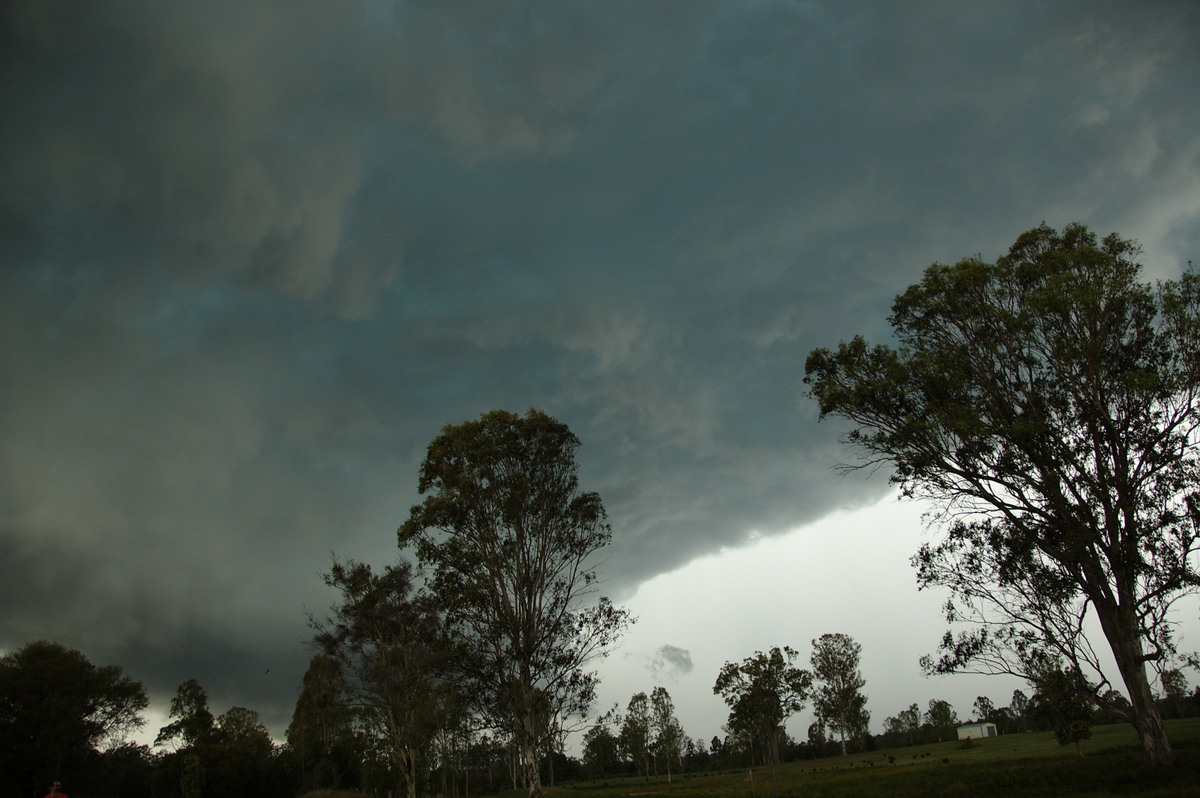 cumulonimbus thunderstorm_base : Myrtle Creek, NSW   15 November 2008