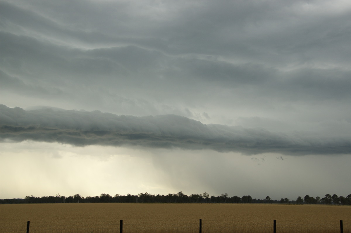 shelfcloud shelf_cloud : E of Casino, NSW   15 November 2008