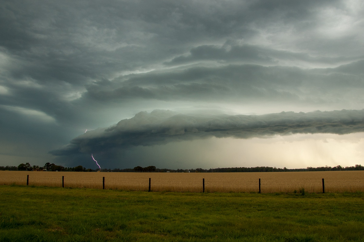 shelfcloud shelf_cloud : E of Casino, NSW   15 November 2008