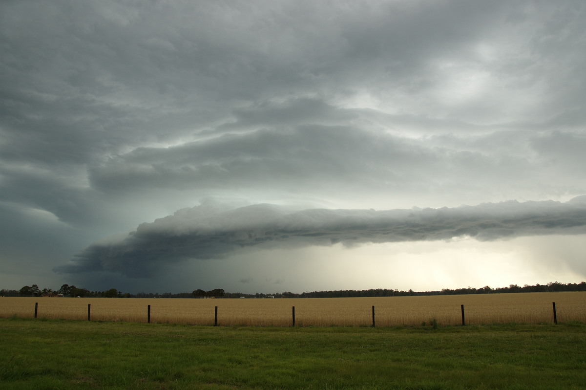 shelfcloud shelf_cloud : E of Casino, NSW   15 November 2008