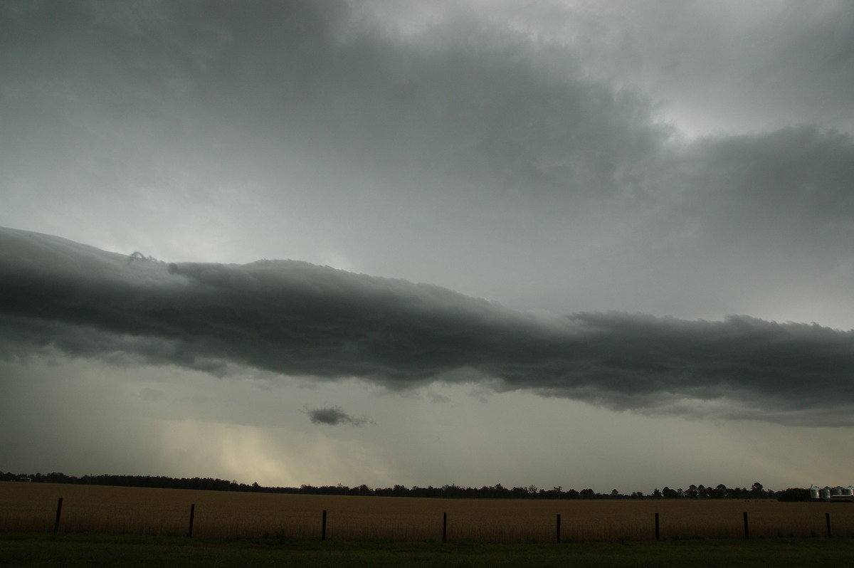 shelfcloud shelf_cloud : E of Casino, NSW   15 November 2008