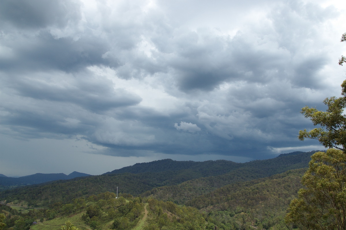 cumulonimbus thunderstorm_base : Cougal, NSW   16 November 2008