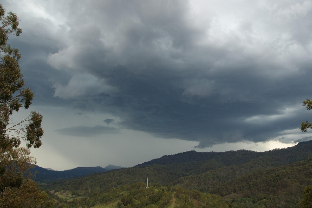 cumulonimbus thunderstorm_base : Cougal, NSW   16 November 2008