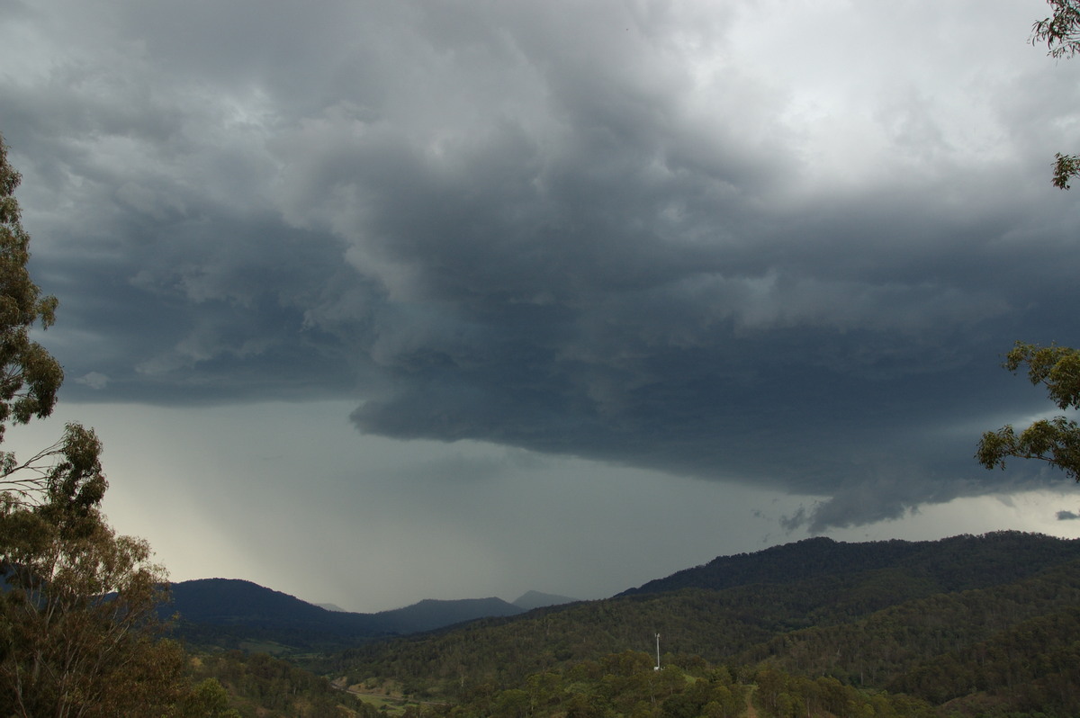 cumulonimbus thunderstorm_base : Cougal, NSW   16 November 2008