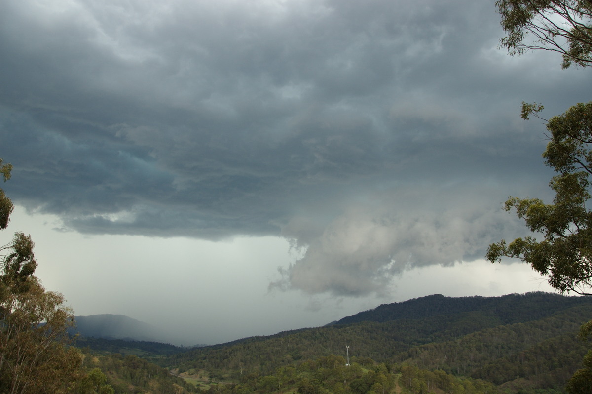 wallcloud thunderstorm_wall_cloud : Cougal, NSW   16 November 2008