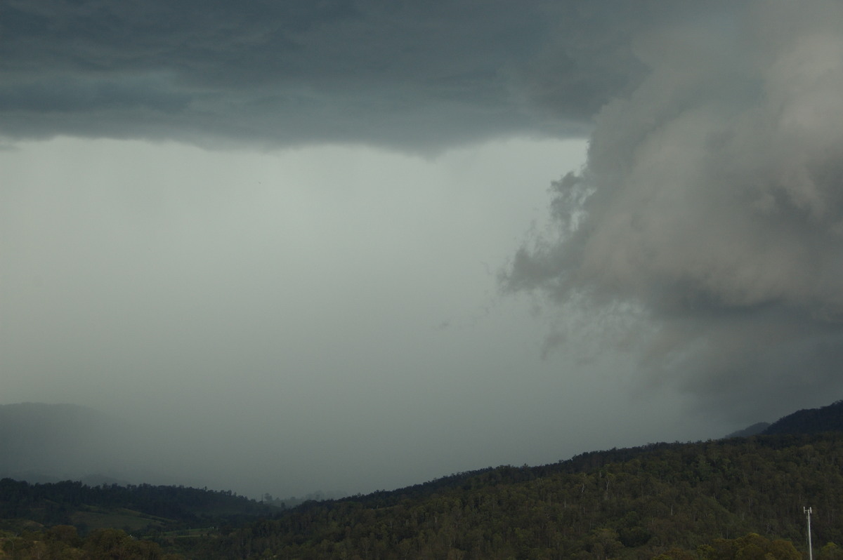 wallcloud thunderstorm_wall_cloud : Cougal, NSW   16 November 2008