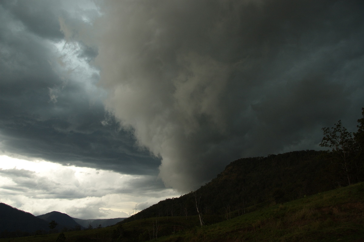 shelfcloud shelf_cloud : Border Ranges, NSW   16 November 2008