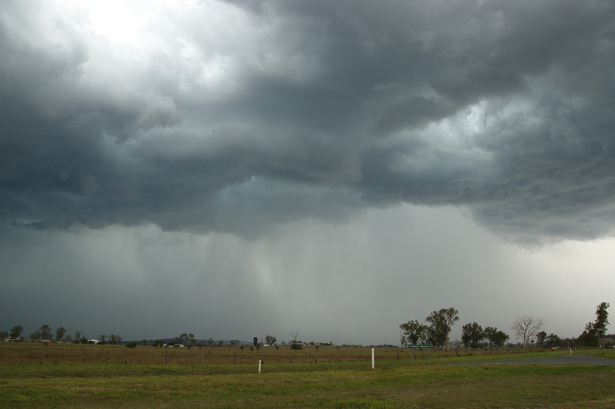 raincascade precipitation_cascade : Laravale, QLD   16 November 2008