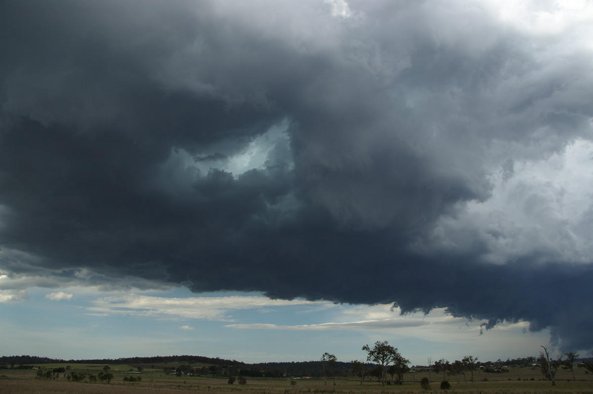 cumulonimbus thunderstorm_base : Beaudesert, QLD   16 November 2008